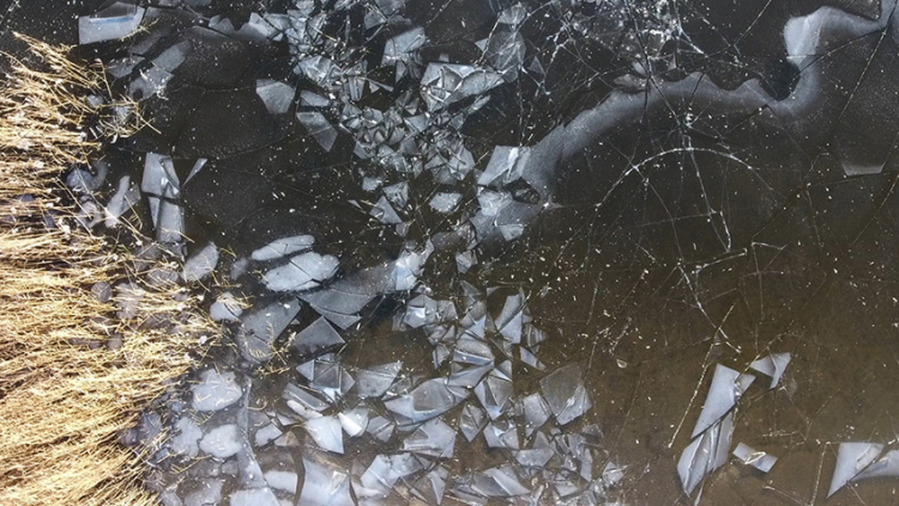 Паромная переправа через Каму в Удмуртии приостанавливает работу С 8 декабря текущего года будет временно приост...