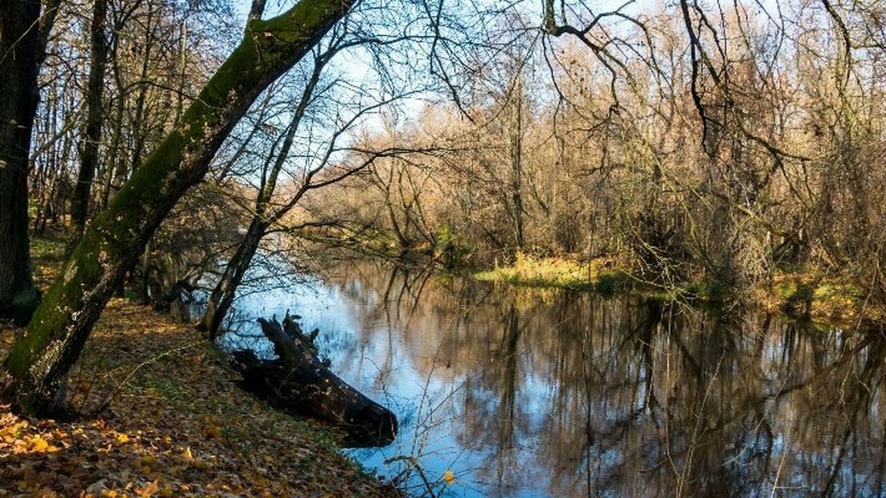 Река Лоза пострадала от загрязнения "Удмуртнефти": компанию проверяет прокуратура Серьезные экологические проблемы возникли на ре...