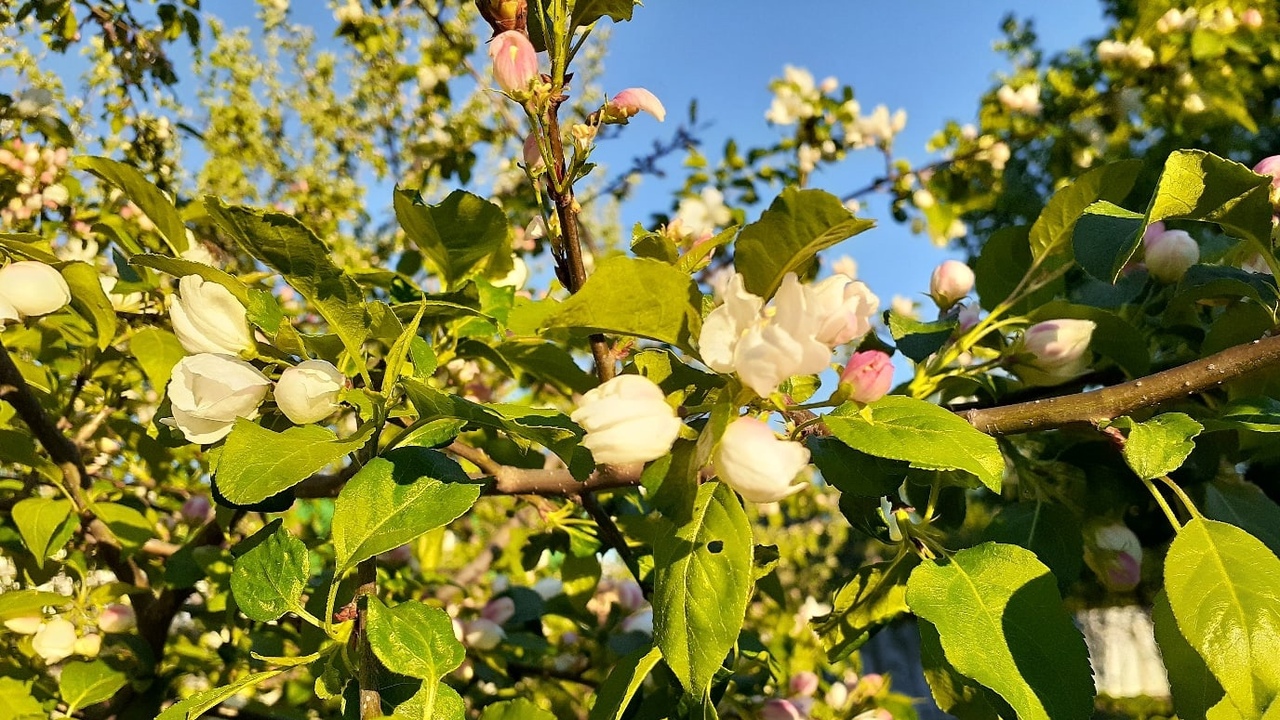 Синоптики предупредили о погодных сюрпризах на ...