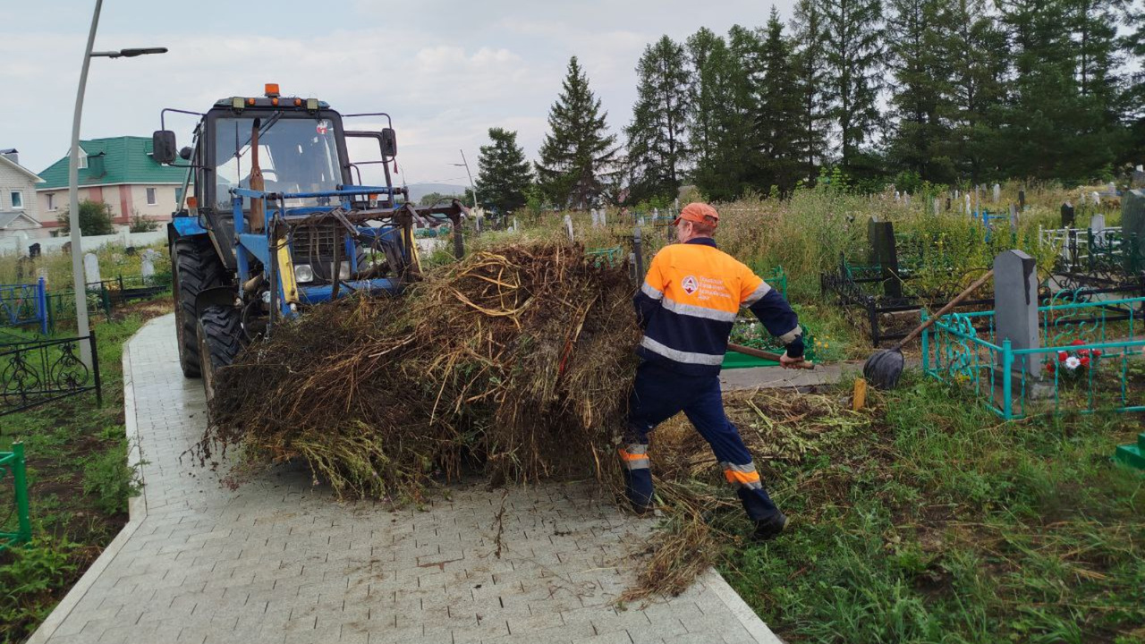 Выжил вопреки всему: закопанного заживо 62-летн...