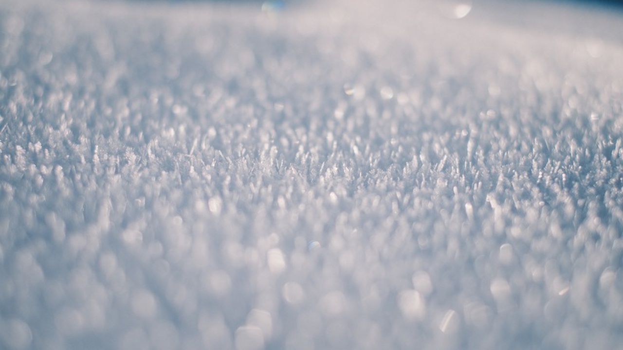 Вильфанд обновил прогноз на наступающую зиму: чего ожидать садоводам и пожилым Предстоящая зима обещает быть непредсказуемой. ...