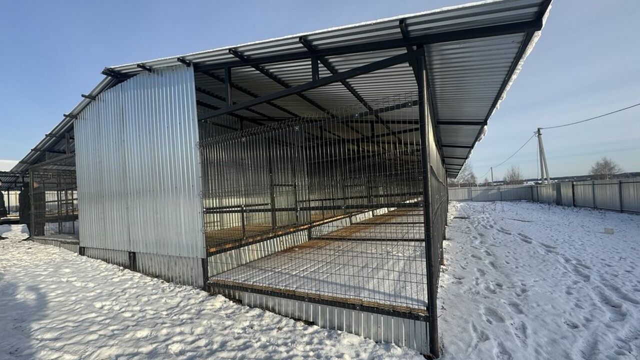 В Ижевске построили 20 вольеров для бездомных собак В Устиновском районе Ижевска появились 20 новых...