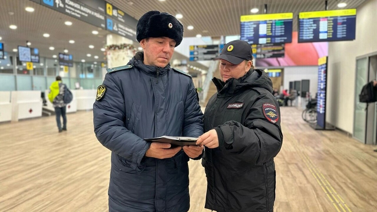 Рейд по должникам перед праздниками прошёл в аэропорту Ижевска В пятницу, 12 декабря, в аэропорту Ижевска прош...