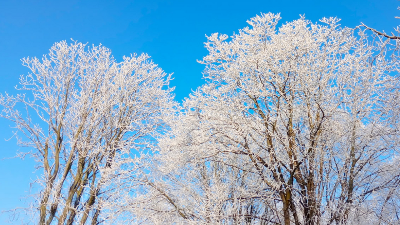 Гидрометцентр сообщает, что зимняя погода начнё...
