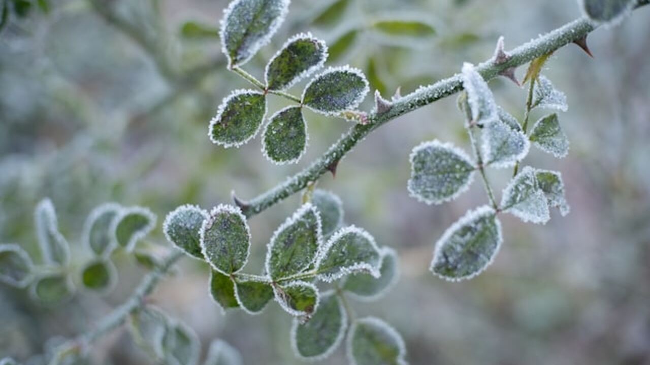В Удмуртию придут морозы до -31°С 10 марта в Удмуртии прогнозируются значительные...