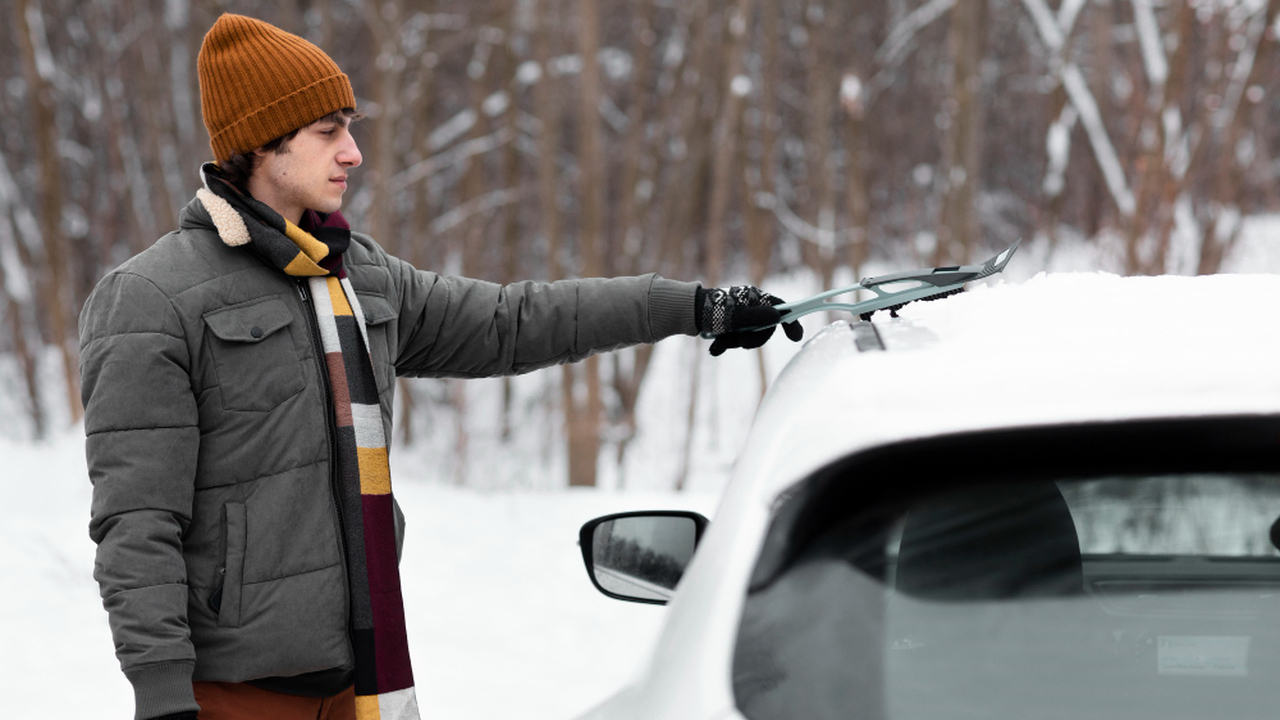 Владельцы личных автомобилей в России в 2026 го...