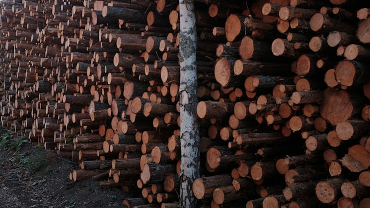 Из Удмуртии в Южную Корею отправлена первая пар...