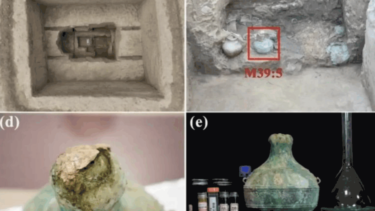 Международная группа учёных провела исследовани...