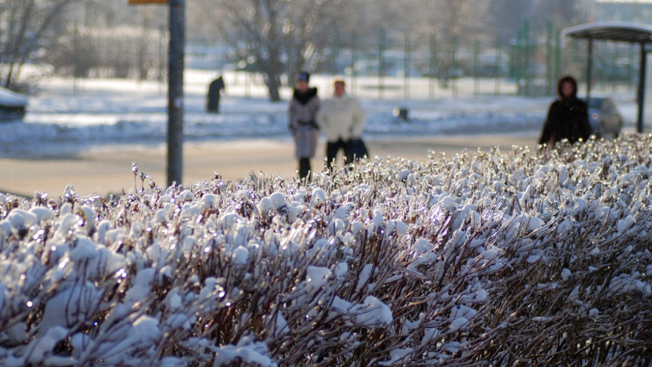 Гидрометцентр прогнозирует значительное превыше...
