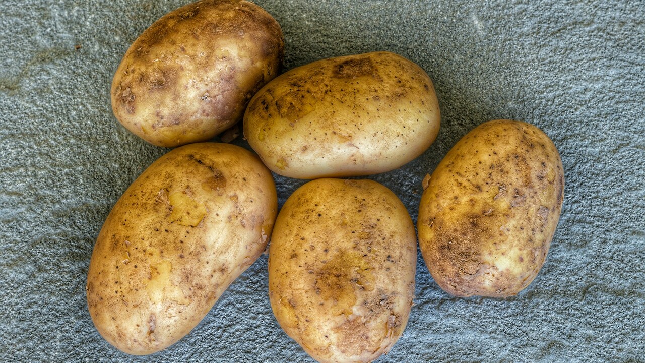 Летний деликатес: как раскрыть истинный вкус молодой картошки С наступлением теплых дней на рынках и в магази...