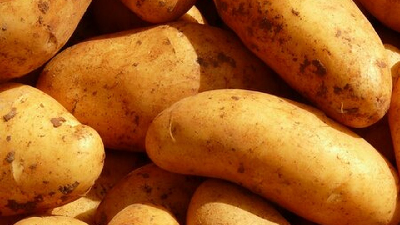 Устали от того, что картофель в погребе прораст...