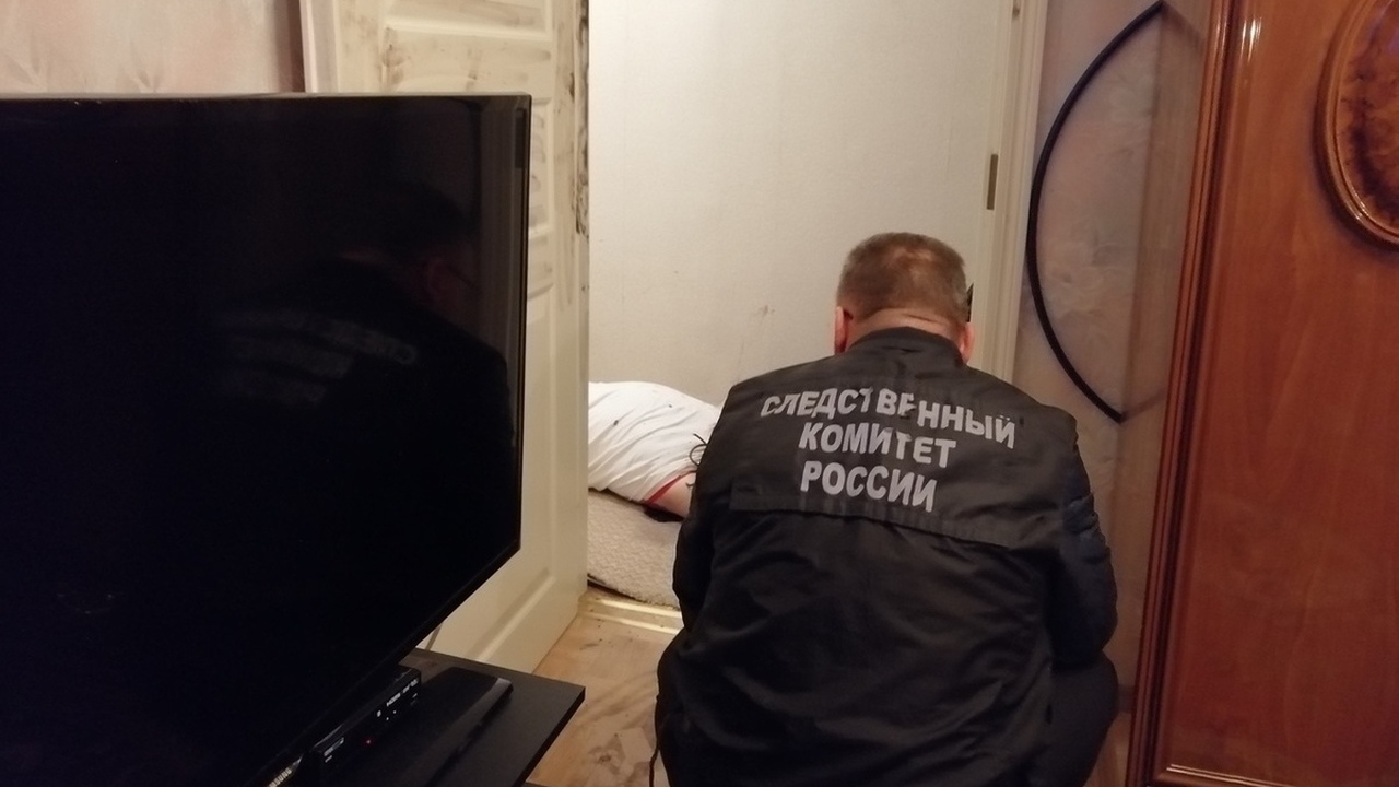 Подушки в крови: в элитном коттеджном поселке 14-летняя девочка жестоко зарезала мать Подушки в крови: В элитном коттеджном поселке 1...
