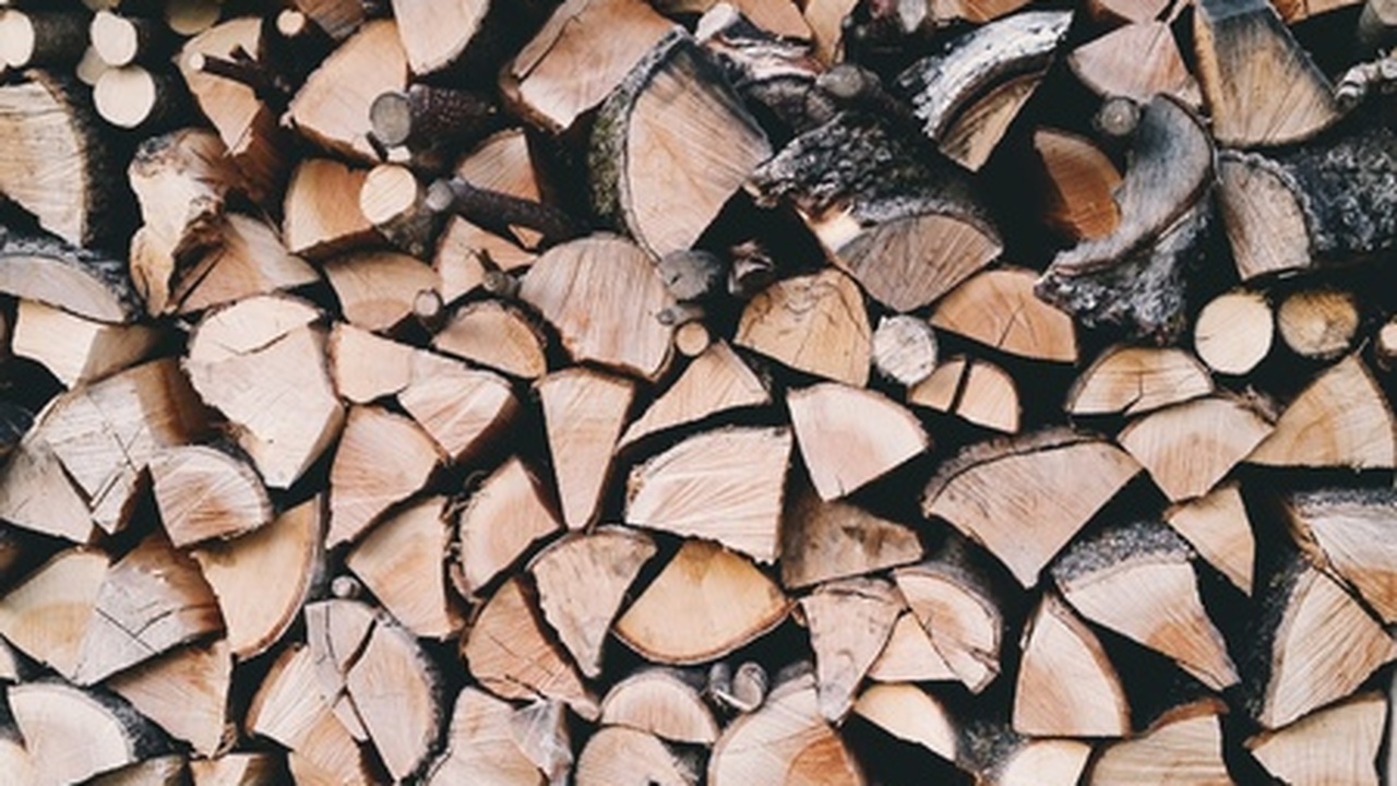 В Удмуртии обследовали более 9 тысяч га лесов на паразитов и болезни Специалисты лесного хозяйства Удмуртии провели ...