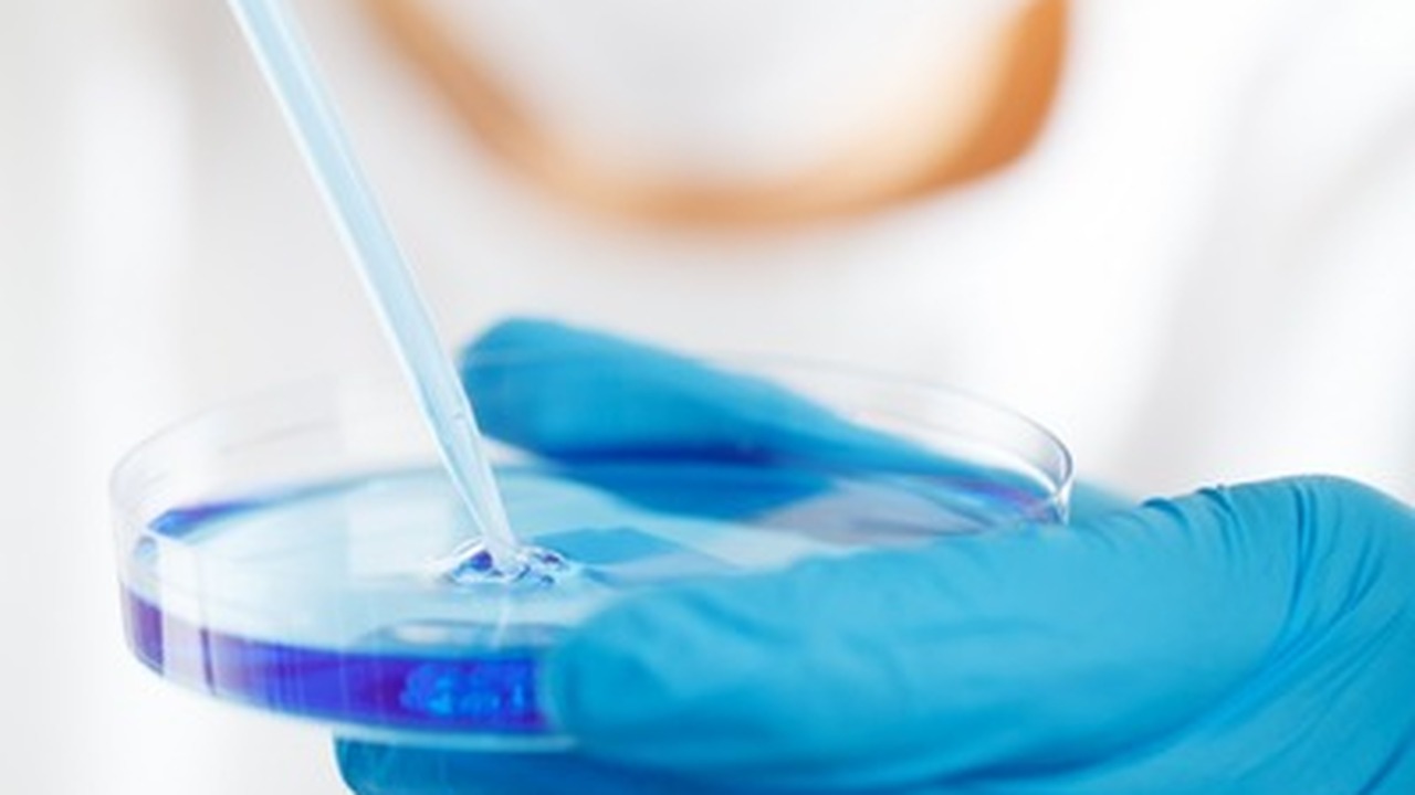 Специалист Всемирной организации здравоохранени...