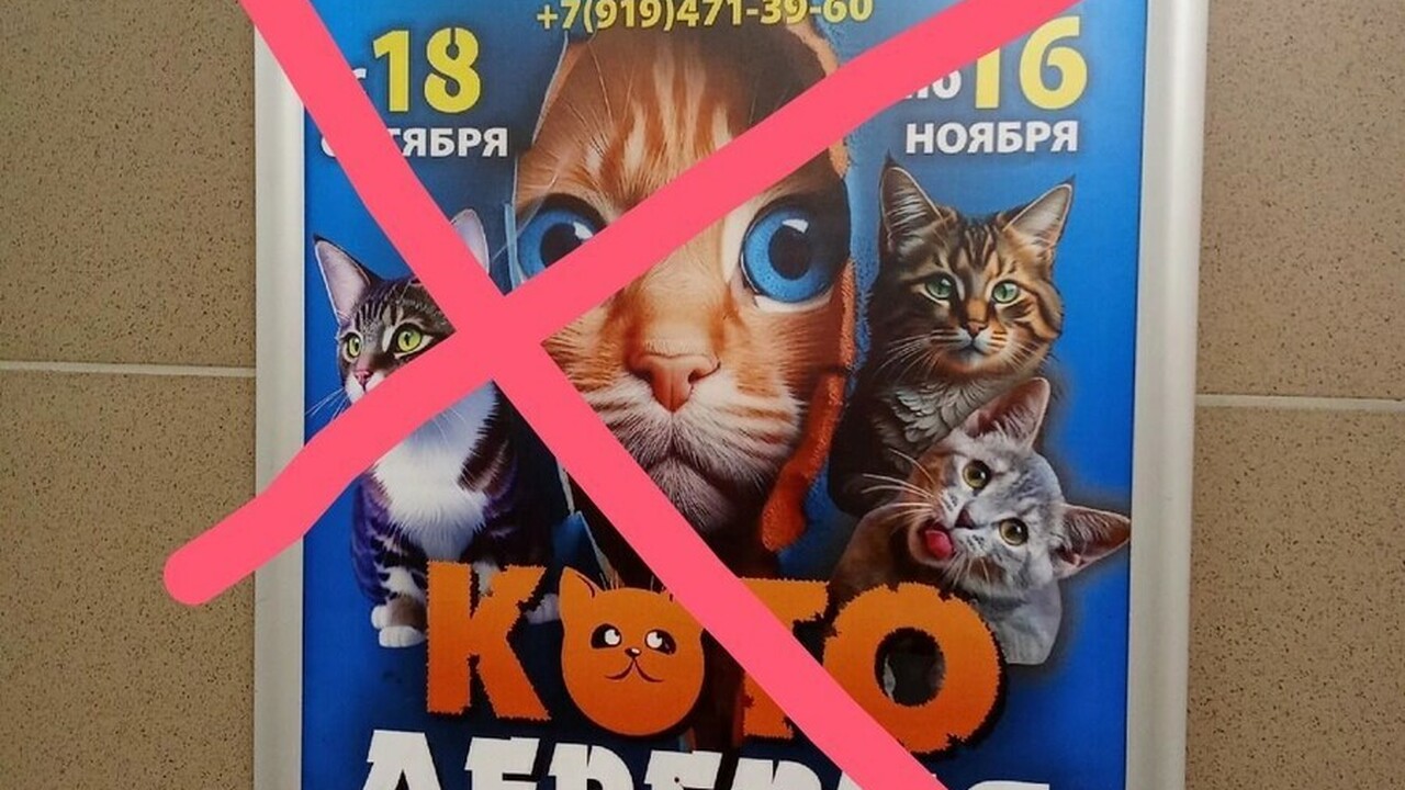 Ижевские зоозащитники требуют закрыть "Котодеревню" В Ижевске разгорелся новый конфликт вокруг конт...