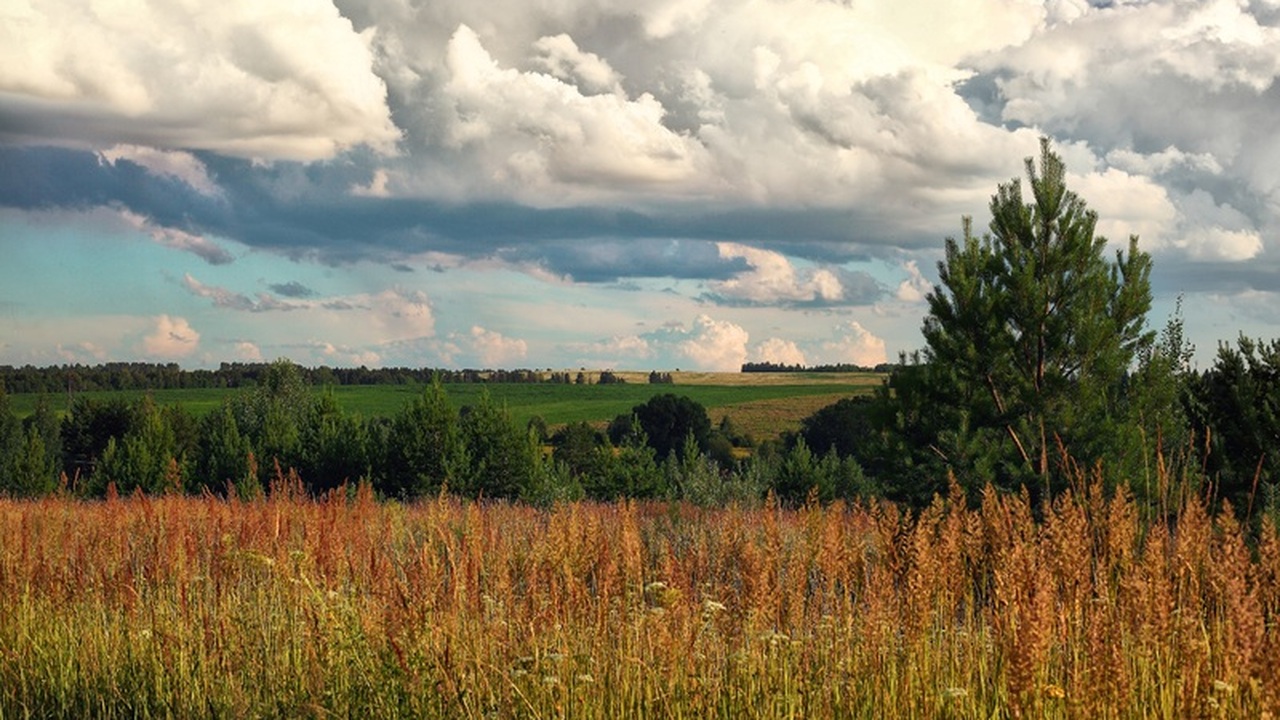 Жители и гости Удмуртии с 2026 года смогут восп...