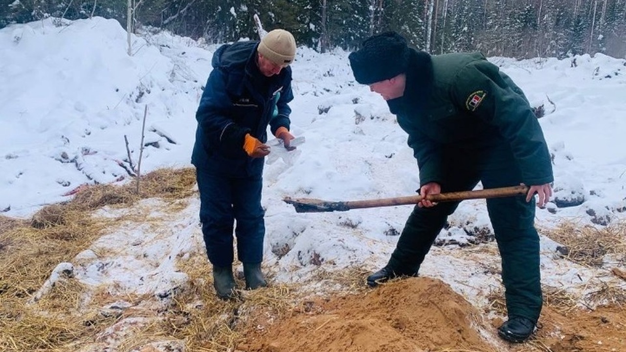 В Кезском районе Удмуртии, вблизи деревни Малый...