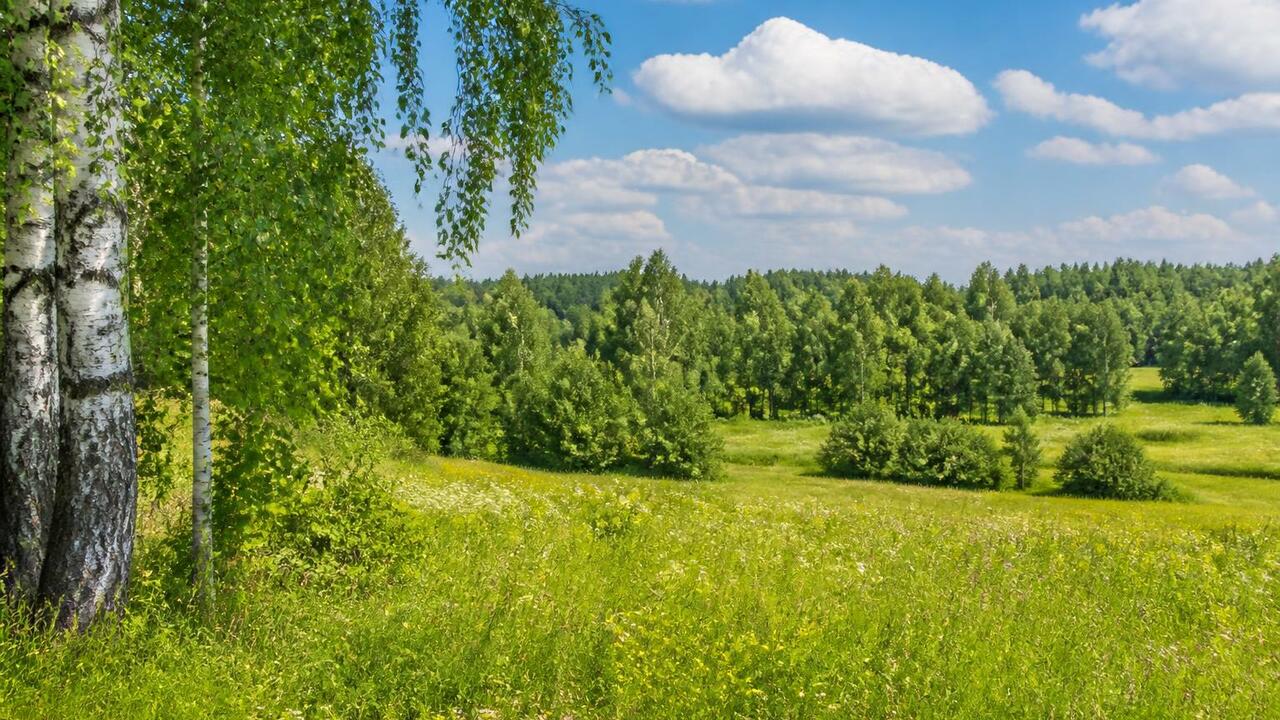 Среда 12 августа станет самым теплым днём недел...