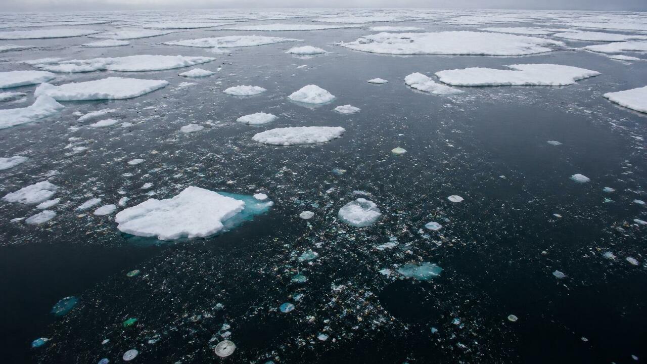 Ученые из Новгорода и Института океанологии РАН...