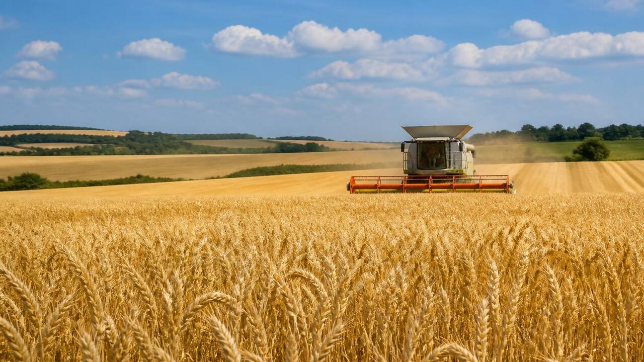 Аграрии Удмуртии к концу августа намолотили 453...