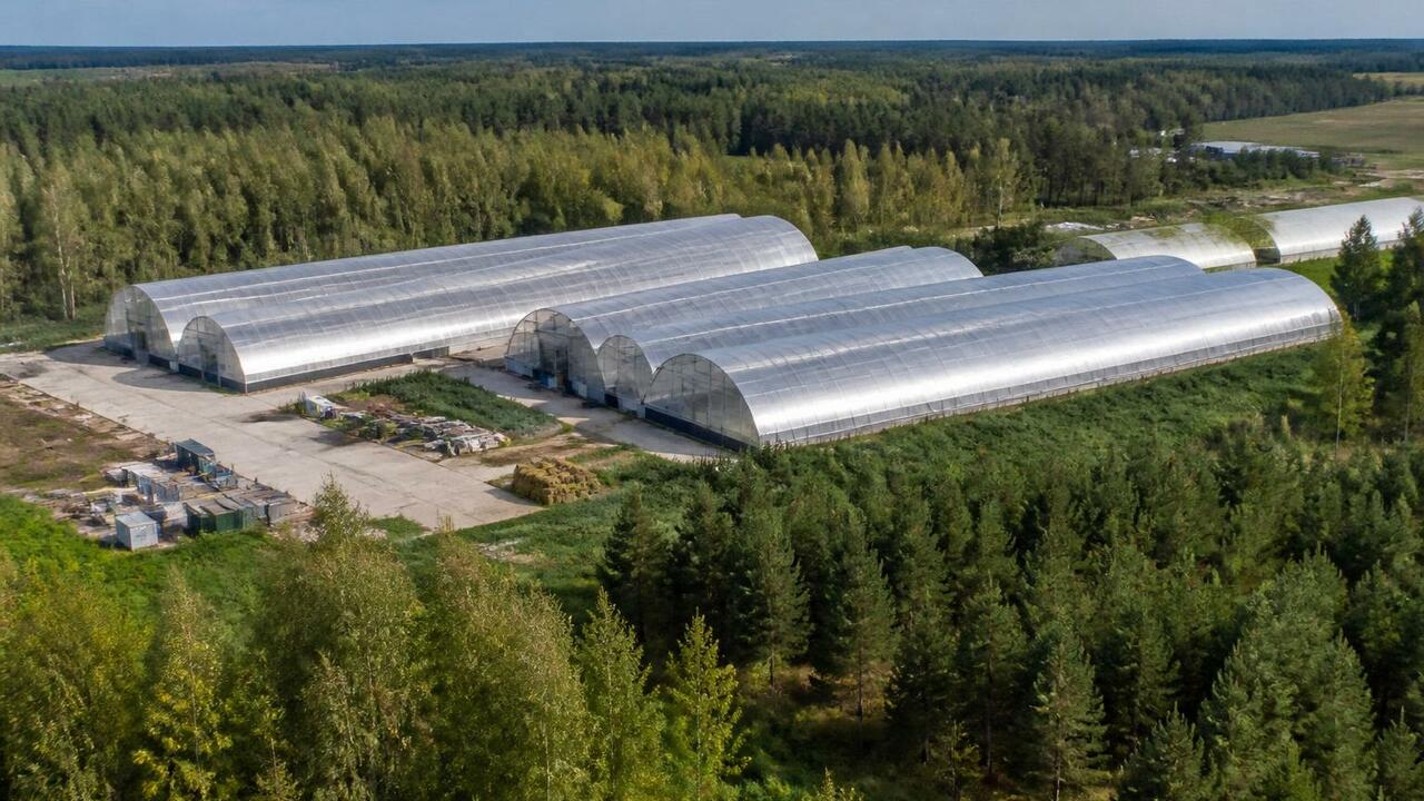 Удмуртия заняла третье место в ПФО по производс...