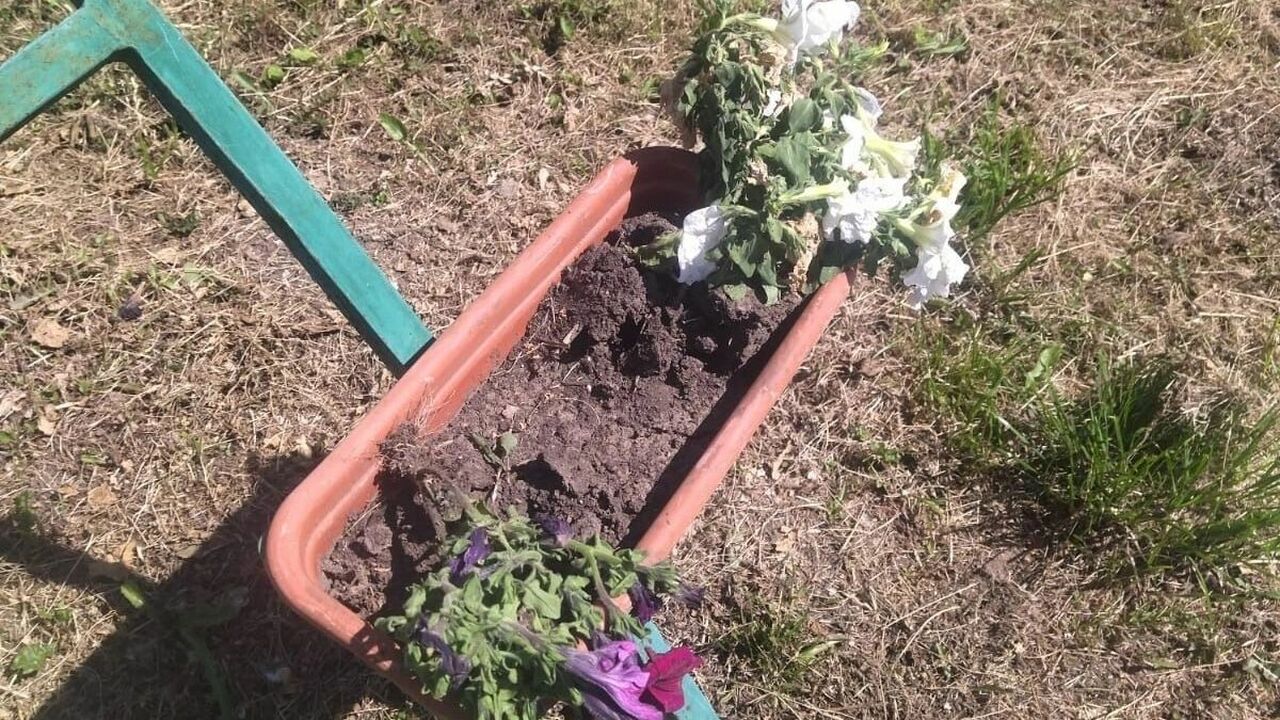 В центре села Алнаши вновь зафиксирован случай ...