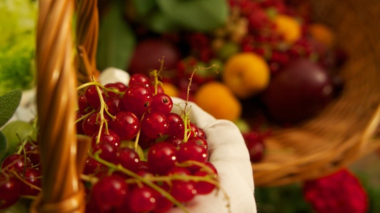 В сети иногда можно наткнуться на удивительные ...