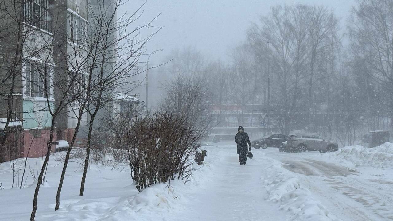Синоптики прогнозируют значительное понижение т...