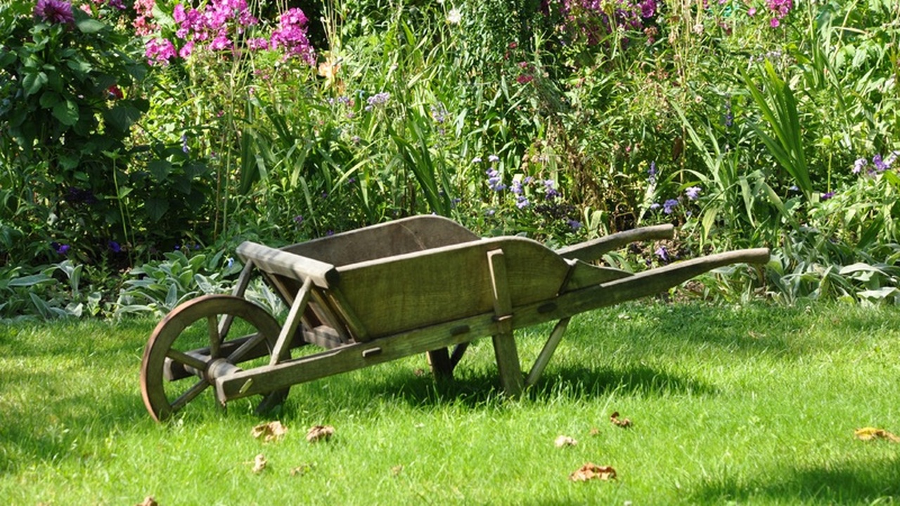 Сажаю морковь за пару минут с помощью пластиковой бутылки и крахмального раствора: хитрость сезона 2026 Любители огородничества постоянно придумывают н...