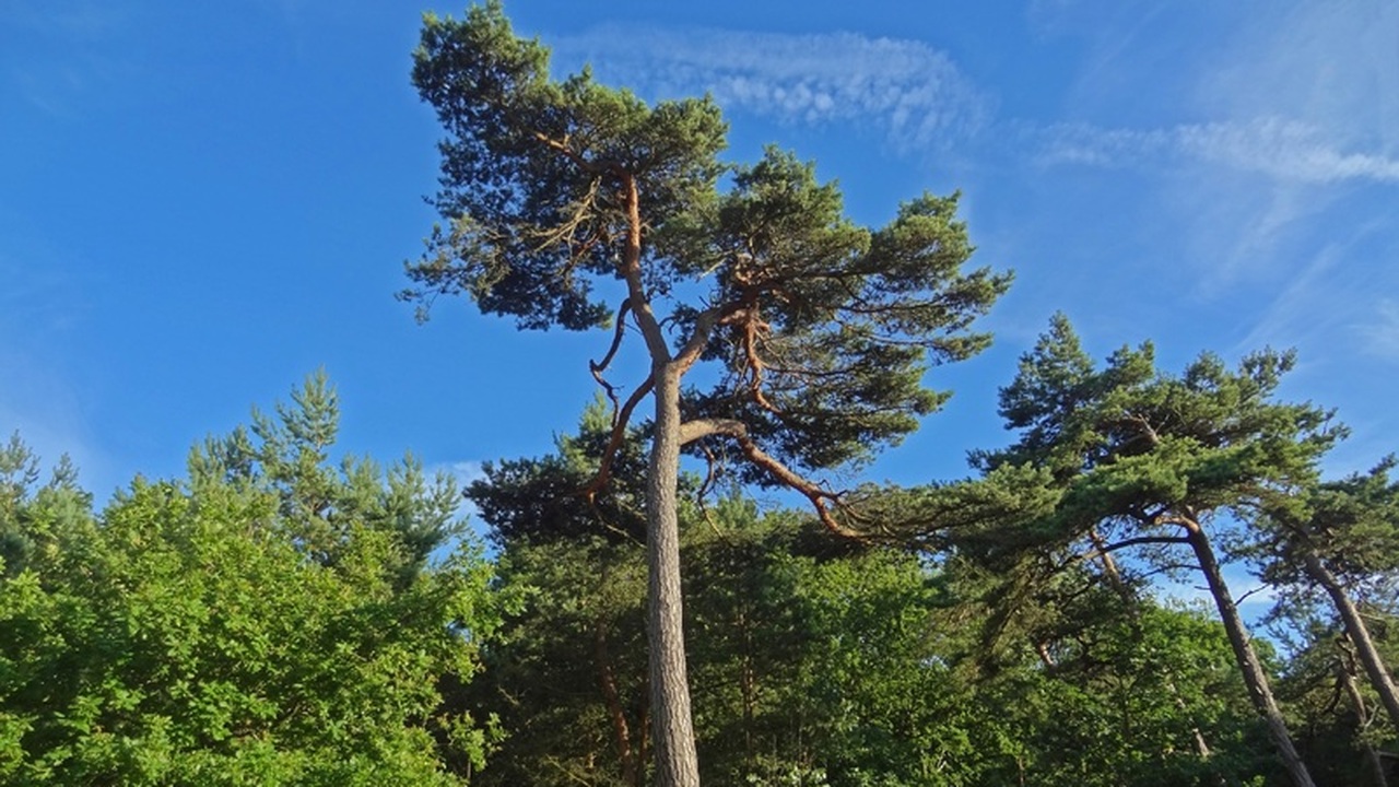 Российские метеорологи представили прогноз на в...