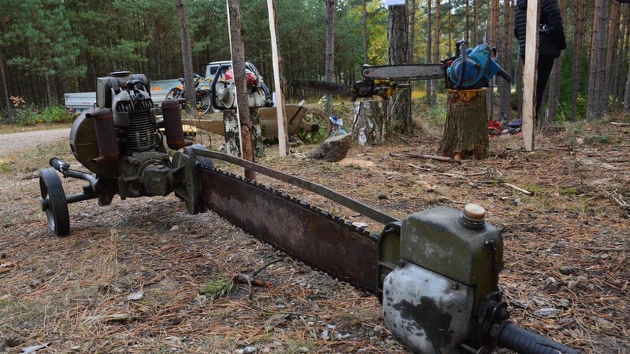 В Удмуртии конфисковали 60 бензопил за незаконную рубку леса За год в Удмуртии изъято 60 бензопил у граждан,...