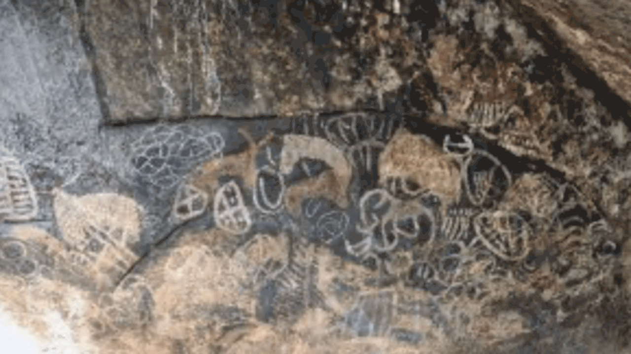 Международная команда исследователей смогла опр...