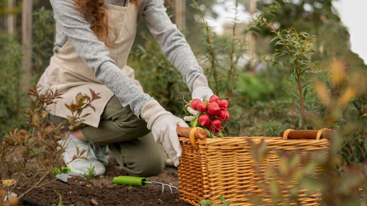С 1 марта 2025 года в России вступил в силу нов...