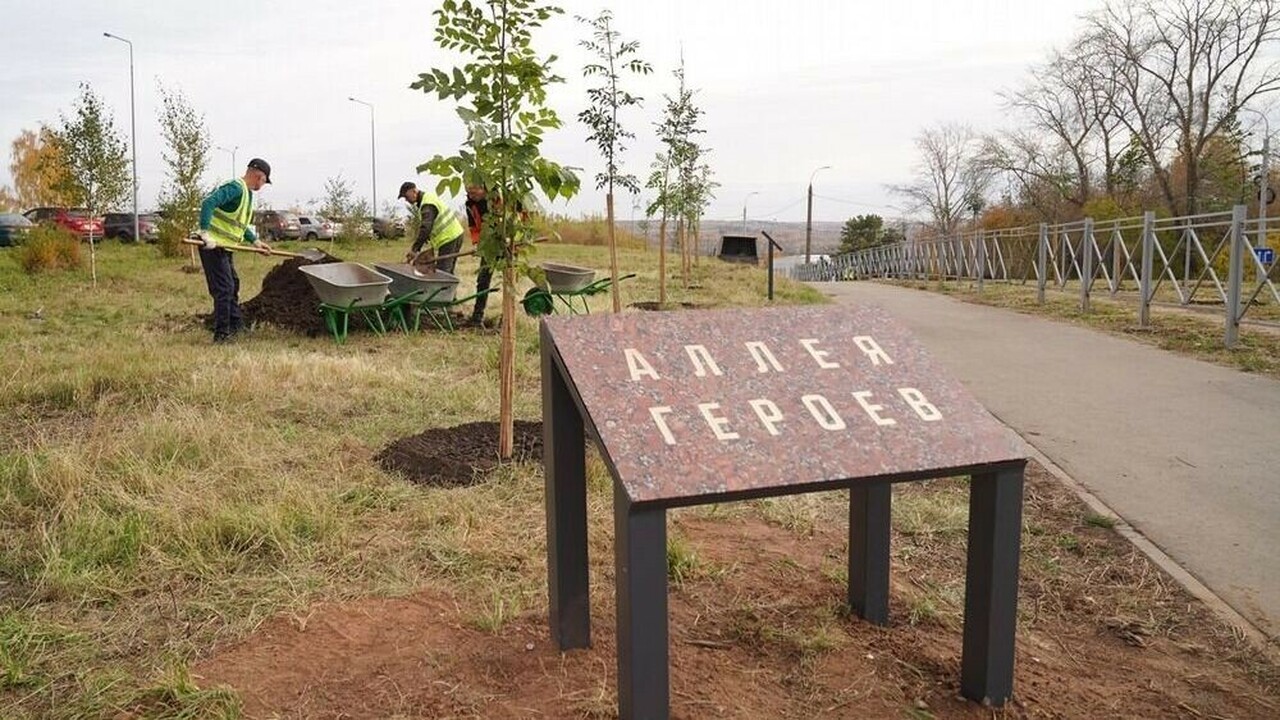 В Ижевске появилась "Аллея Героев": память о бойцах СВО увековечена в ясенях В столице Удмуртии, на улице Ильфата Закирова, ...