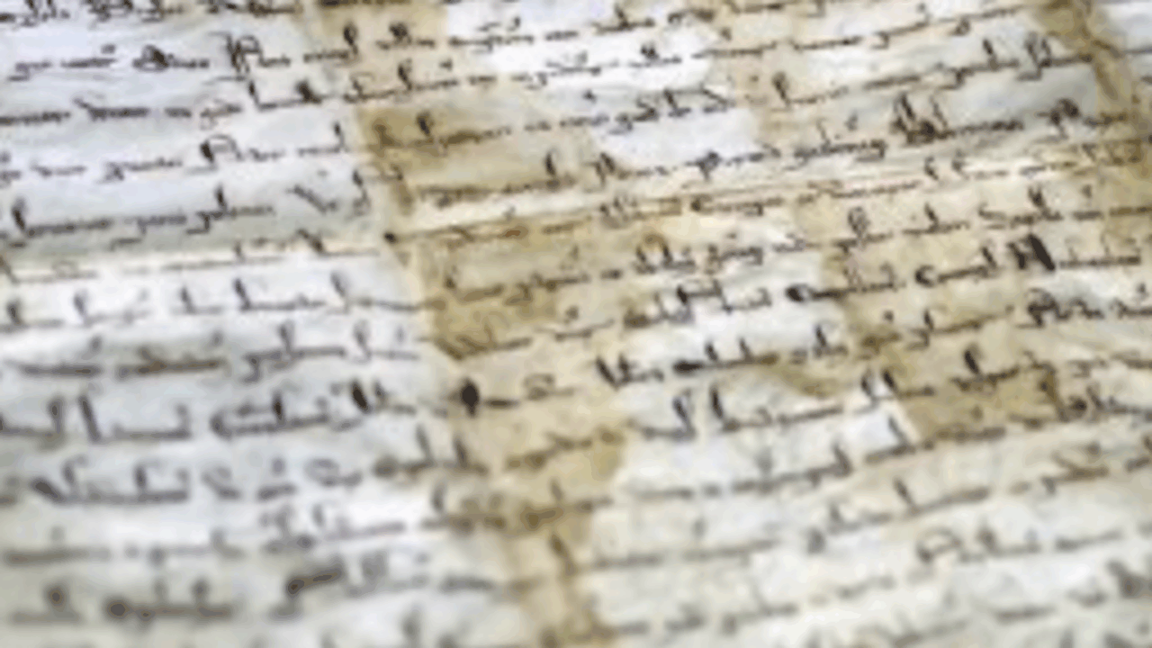 Международная группа ученых смогла восстановить...