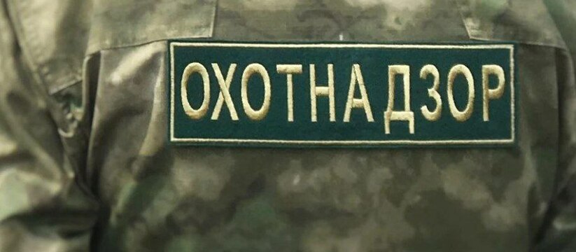 С начала текущего года в Удмуртии правоохраните...