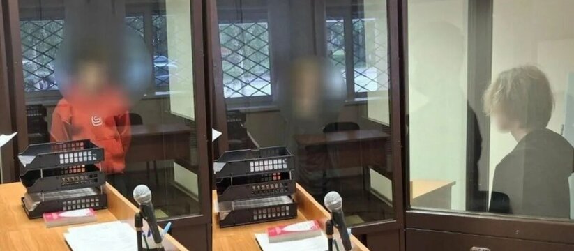 В Удмуртии рассследовали 9 дел в отношении подр...