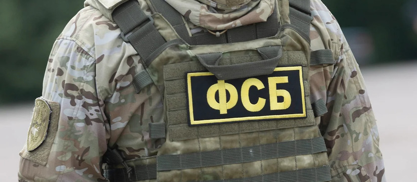 Ижевчанин под арестом за попытку присоединиться к боевикам в Сирии Правоохранительные органы задержали жителя Ижев...