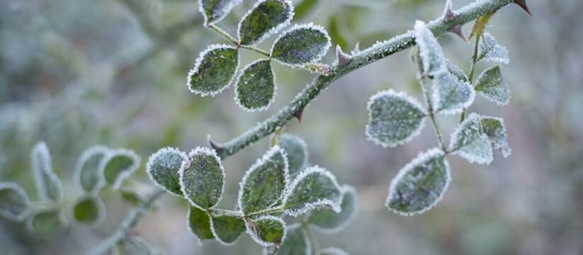 10 марта в Удмуртии прогнозируются значительные...