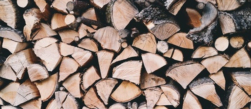 В Удмуртии обследовали более 9 тысяч га лесов на паразитов и болезни Специалисты лесного хозяйства Удмуртии провели ...