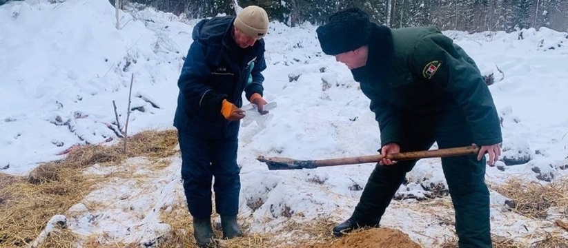 Минприроды Удмуртии отобрало пробы на месте раз...