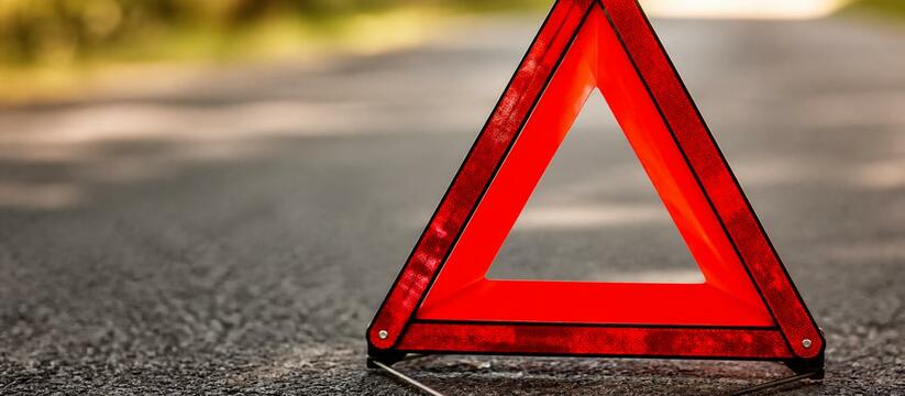В деревне Истомино Завьяловского района Удмурти...