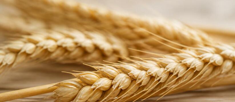 Удмуртия нарастила экспорт лесопродукции в Каза...