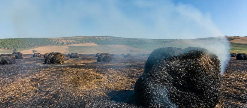Пожар на поле в деревне Пожгурт Селтинского рай...