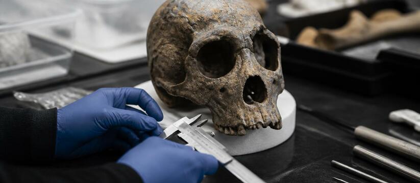 Учёные: череп Homo antecessor из Атапуэрки близок к современным людям Череп Homo antecessor из Атапуэрки, возрастом 8...