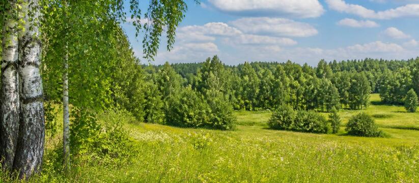 Среда 12 августа станет самым теплым днём недел...