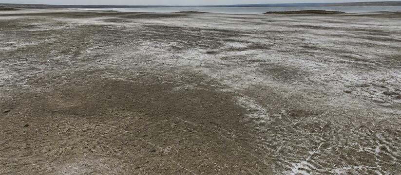 Высыхание Аральского моря: 204 млн тонн CO2 в атмосферу за 60 лет Ученые выяснили, что высохшее Аральское море с ...