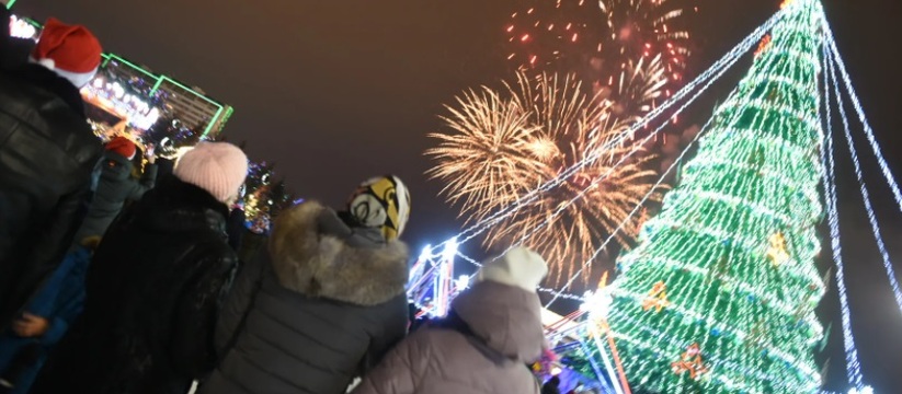 В новогодних гуляниях приняли участие более 20 ...