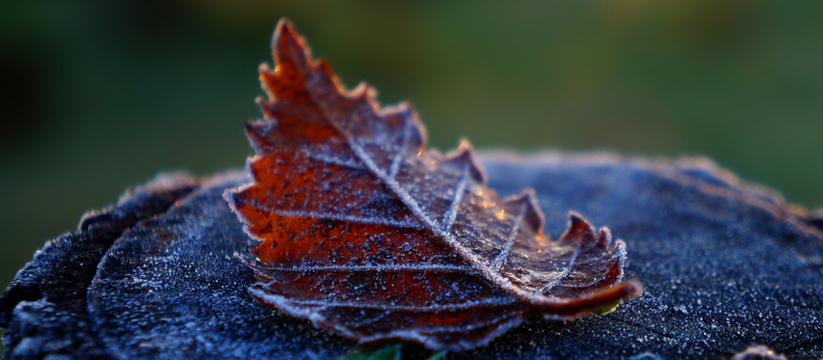 С субботы, 24 декабря, в Удмуртии ожидается зна...