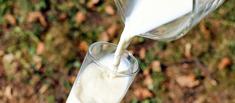 Удмуртия наращивает экспорт молочной продукции Удмуртия демонстрирует уверенный рост в сфере э...